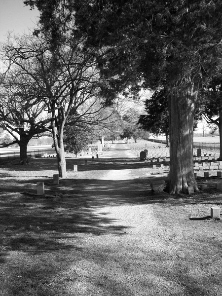 Confederate Cemetery - Battle of Franklin