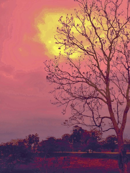 PAISAJE