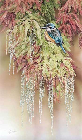 Kingfisher