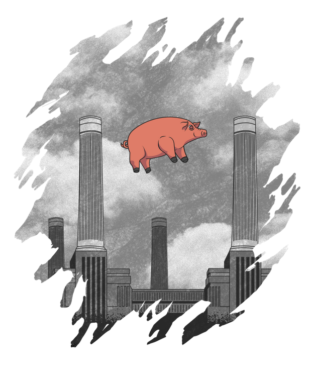 Pink Floyd Pig Graphic