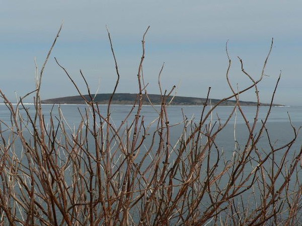 Island