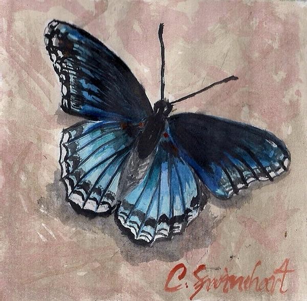 One of five butterflies