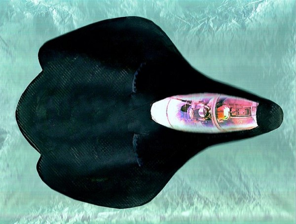 Stealth Fighter