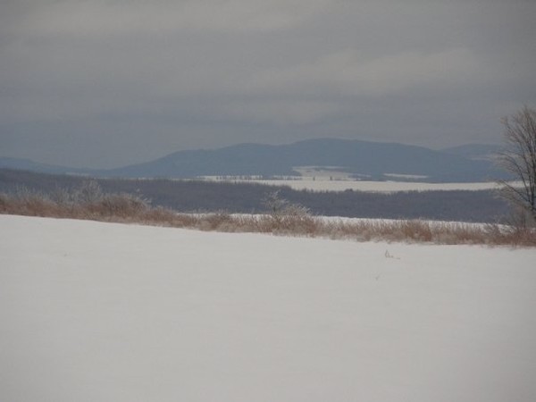 ice storm