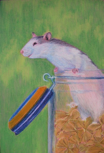 Rat