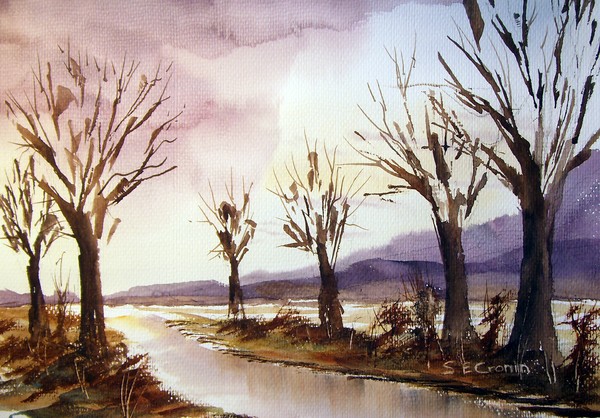 Autumn Stream