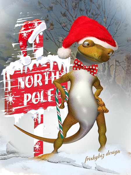 Gecko Visits The North Pole