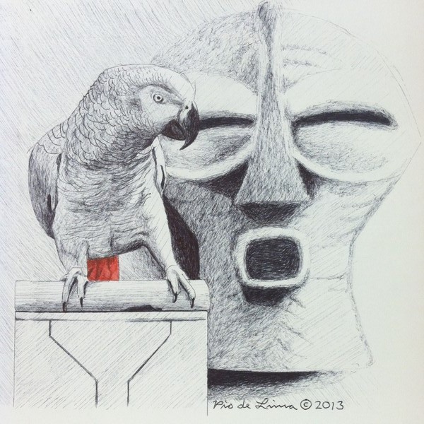 African Grey Parrot (Original Artwork Sold)