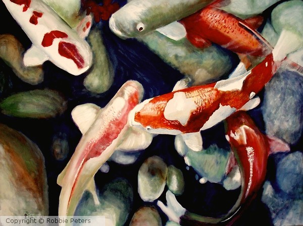 Koi Fish
