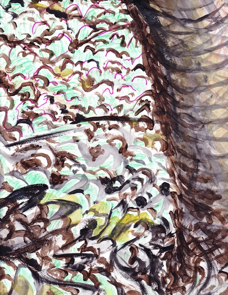 palm near at base of sloped roadside