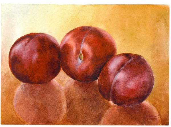 Plums reflection