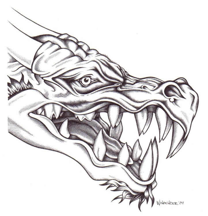 Dragon Dog
