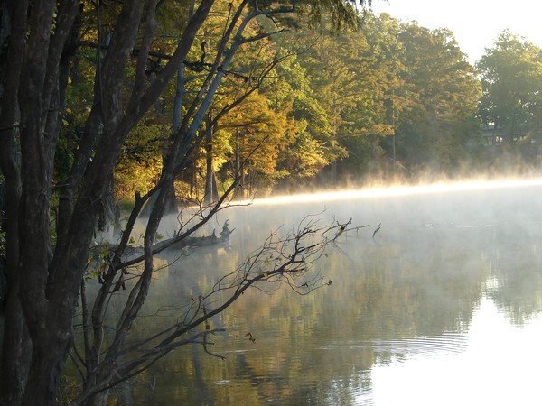 Mornin Mist 2