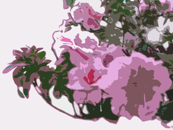 Pink Azalea