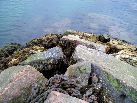 Rocky Ledge