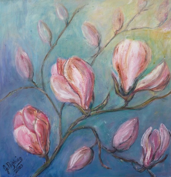 Magnolia