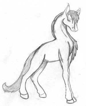 a horse?