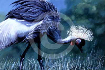 Uganda Crown Bird