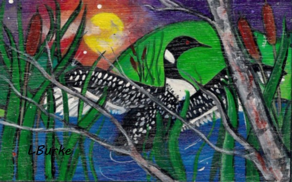 Loon on the lake