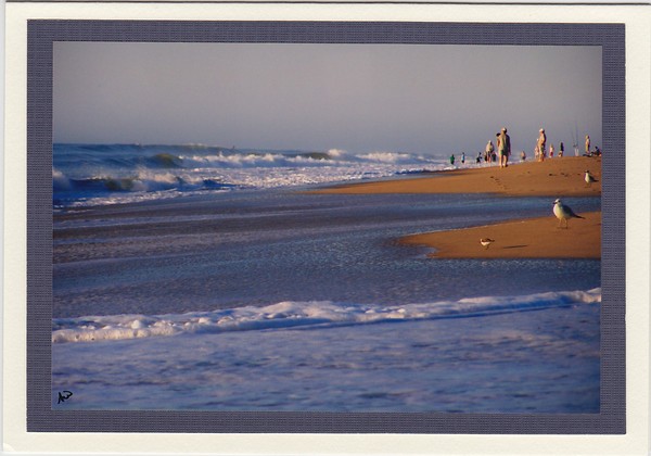 Early Morning Surf