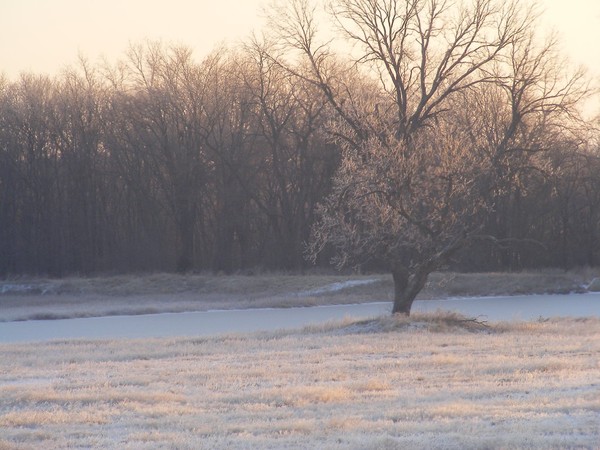 Crisp Morning