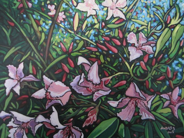 Mediteranean Flowers