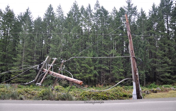 pretty much sums it up Campbell River storm 2012