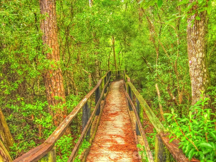 Boardwalk Nature Trail
