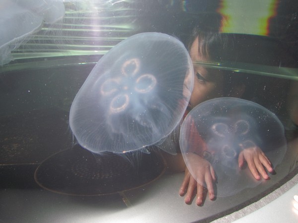 reflection