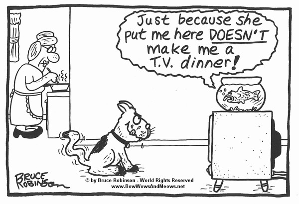 BOW WOWS & MEOWS® CAT Cartoon - 