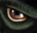 Teh DRAGON EYE!