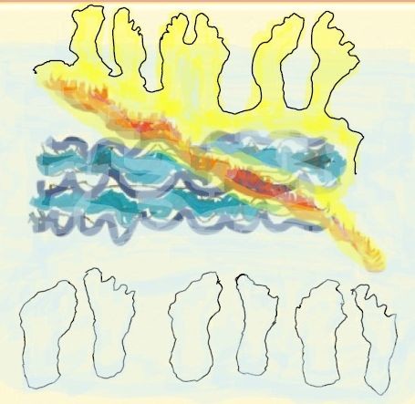Water Foot Imprints