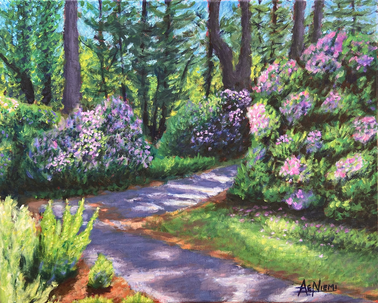 Dappled Rhododendron Walk