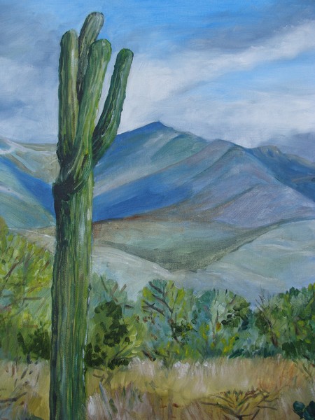 Tucson morning