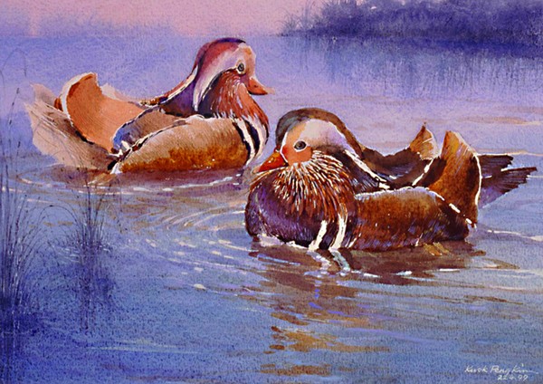 Mandarin Ducks