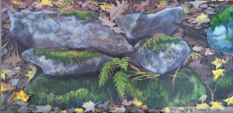 Stonewall Ferns