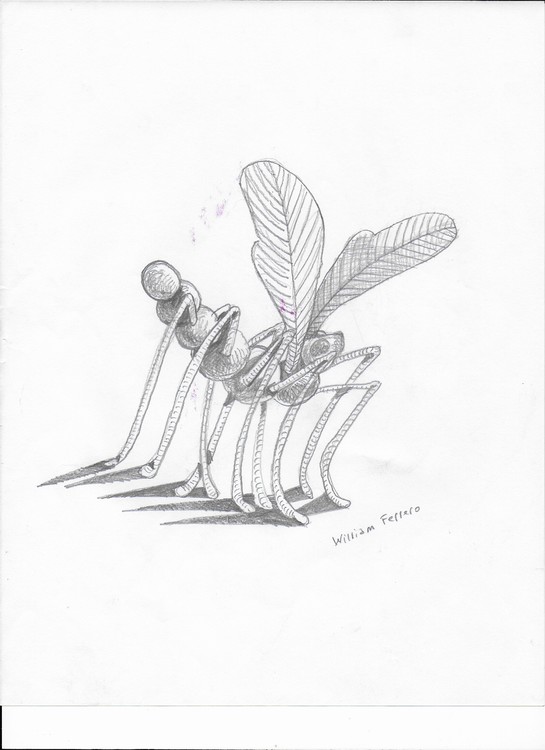 41- Bug III 001