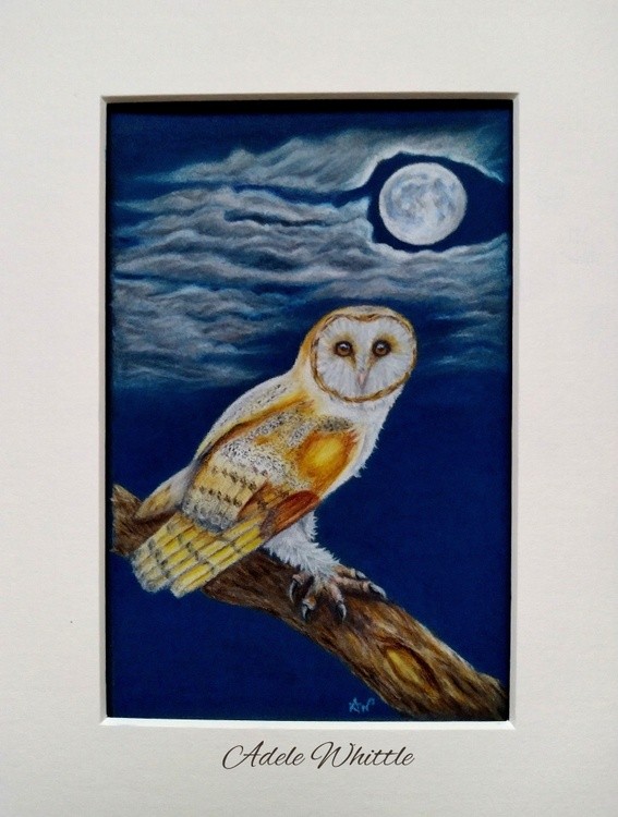 barn-owl-full-moon-nature-art-by-adele-whittle