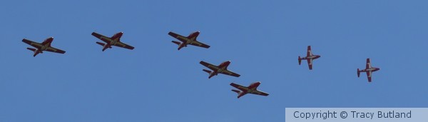 Snow Birds 2