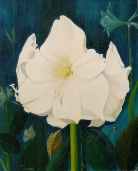 White Amarylis