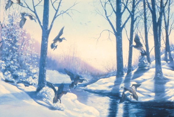 Dusky Landing