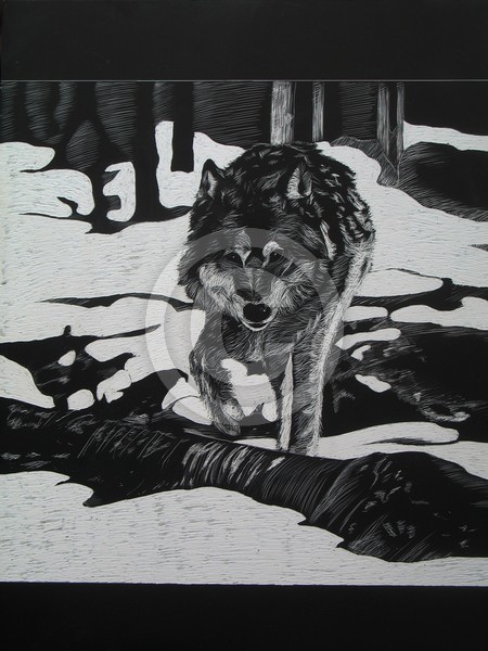 Winter Wolf