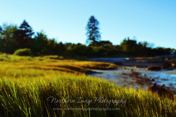 Clark Island, ME