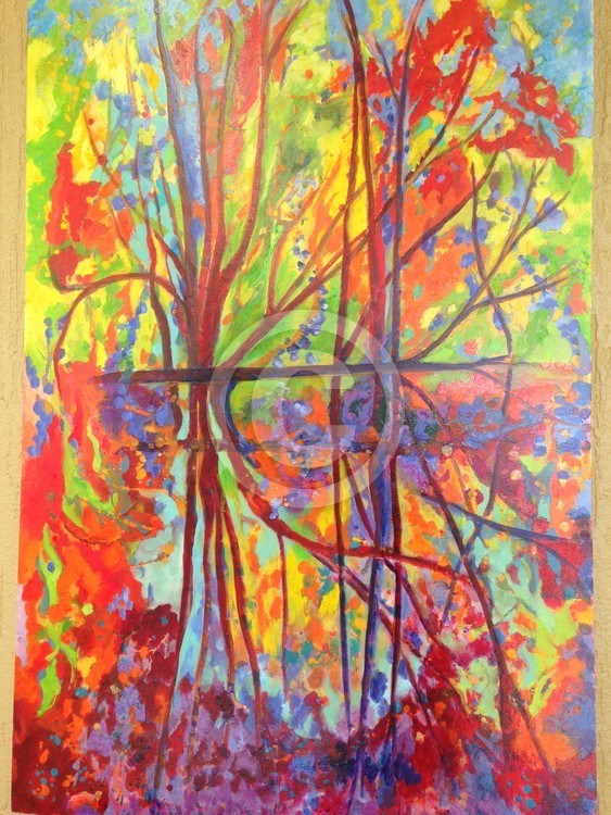 Reflections of Colour