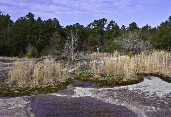 40 Acre Rock 1