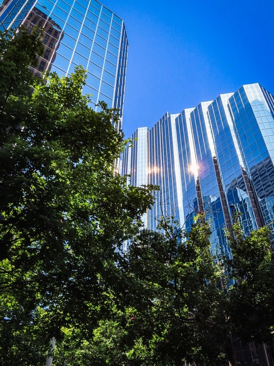 Modern Building and Trees