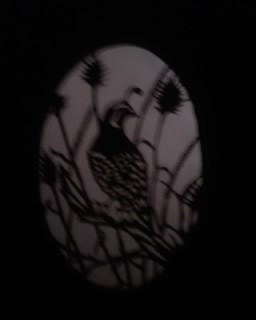 Look Out