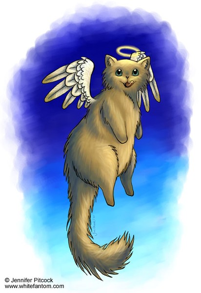 Plenty of Kibble in Heaven