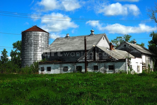 Bethlehem, NY Farm II