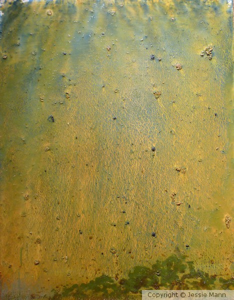 horizon on panel 2011